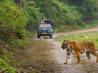 Jim Corbett & Nainital Tour Package