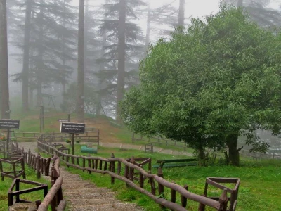 Mussoorie & Dhanaulti Tour Package